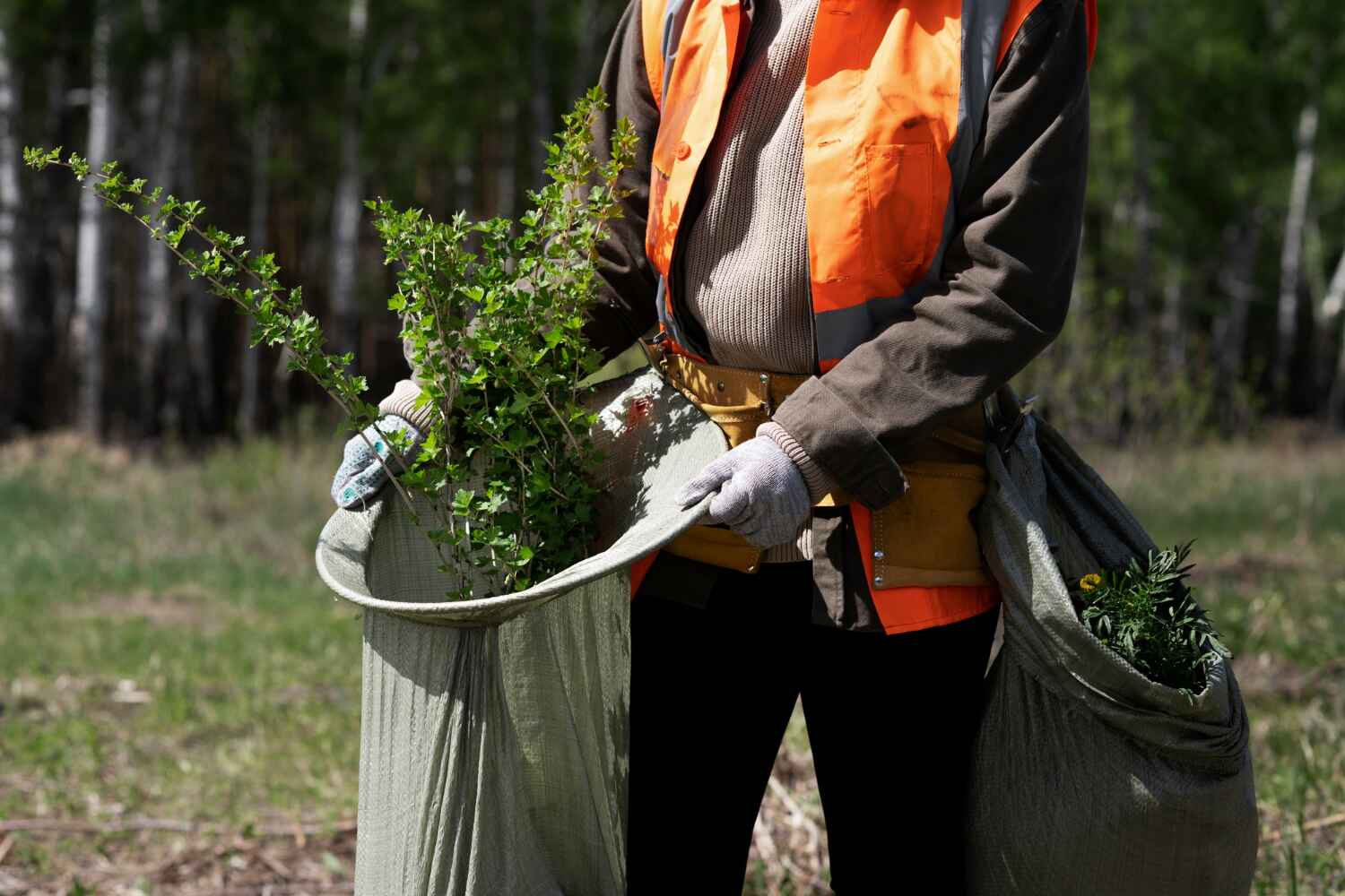 Best Commercial Tree Services  in West Milton, PA